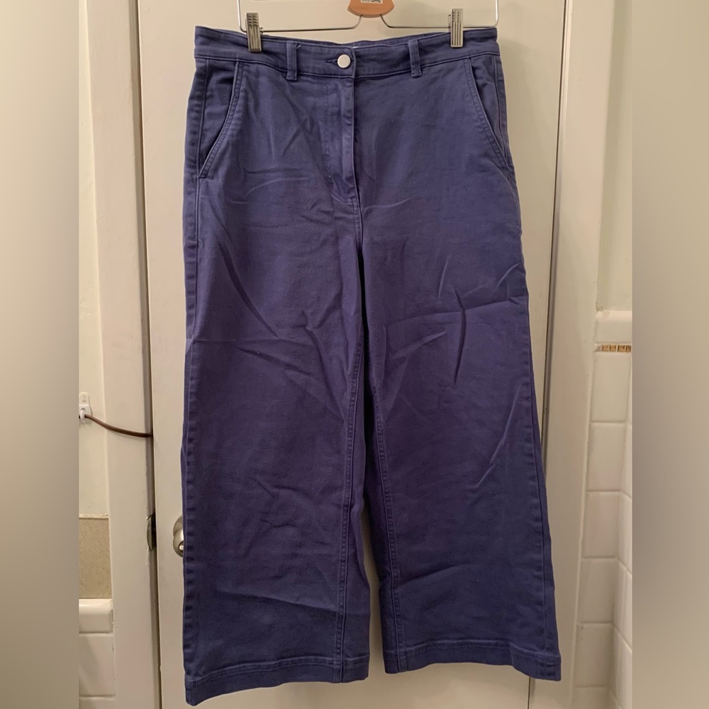 Everlane Wide Leg Blue Pants